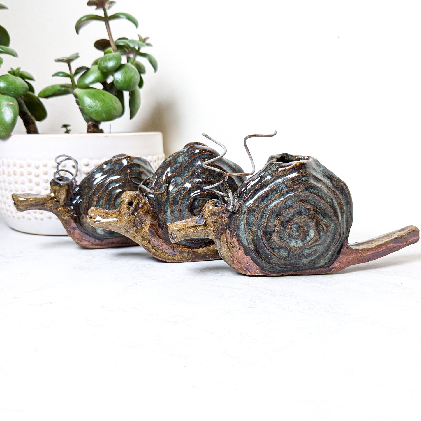 Slow Snail Incense Burner | Local Artist