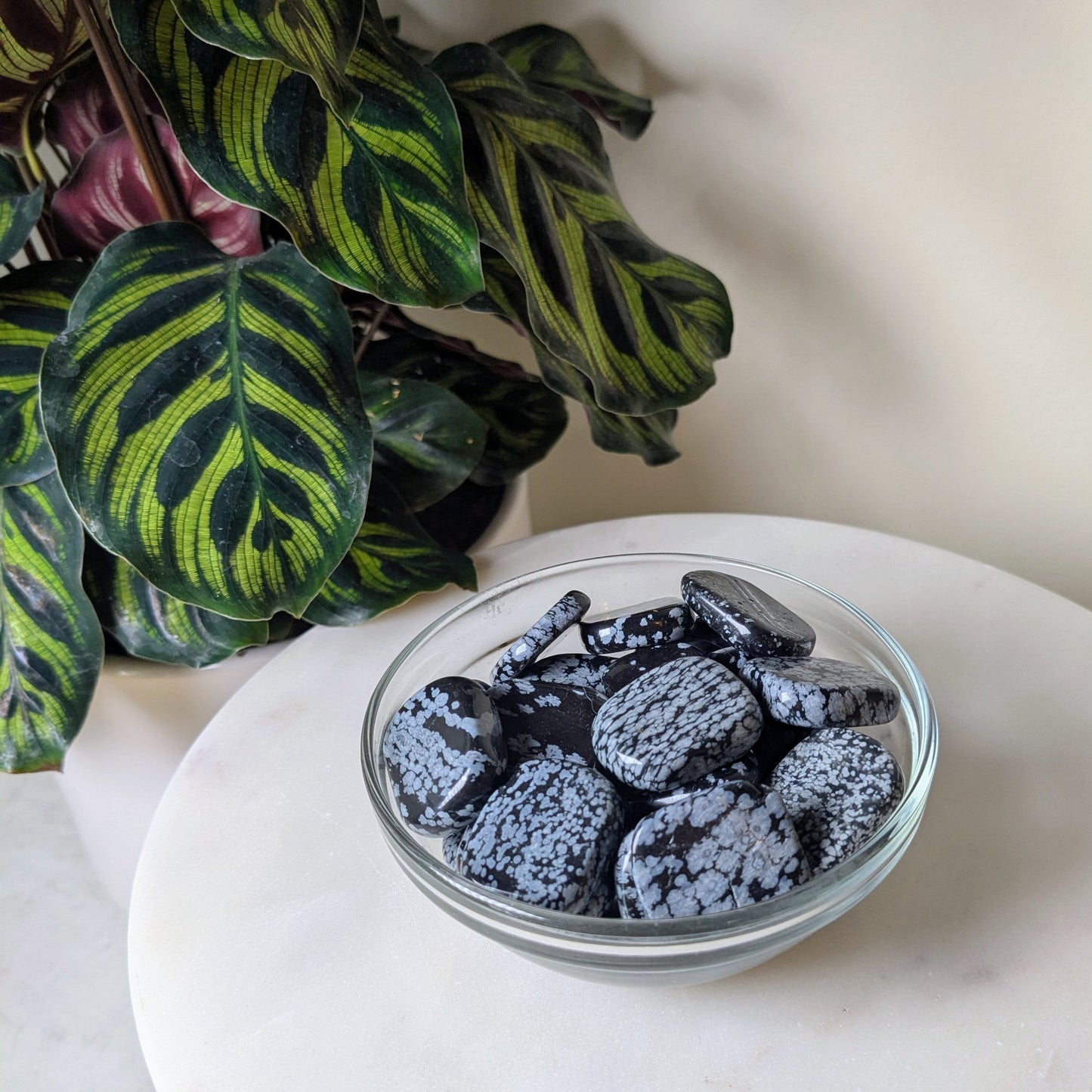 Black Snowflake Obsidian Tumbles