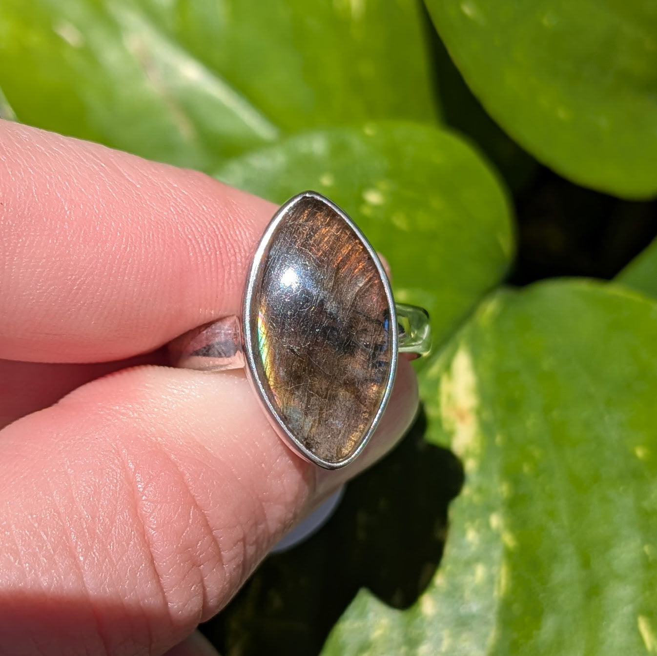 Multi Fire Labradorite Sterling Silver Ring