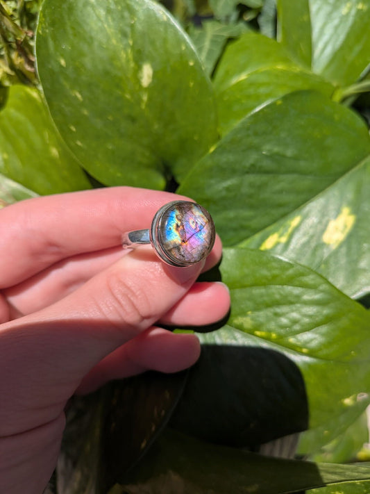 Multi Fire Labradorite Sterling Silver Ring