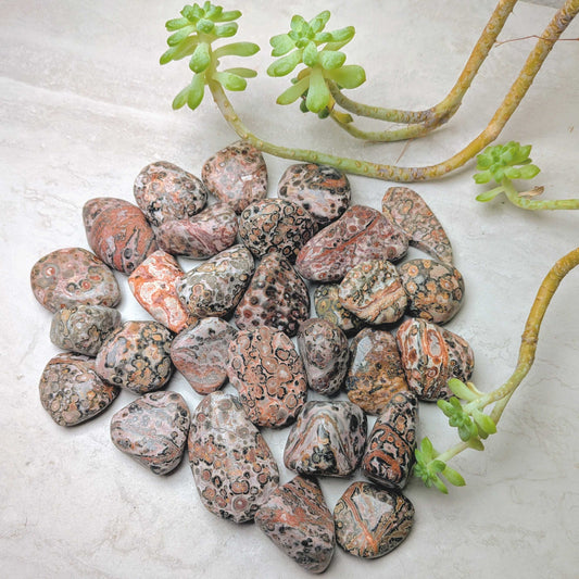 Leopard Skin Jasper Tumble