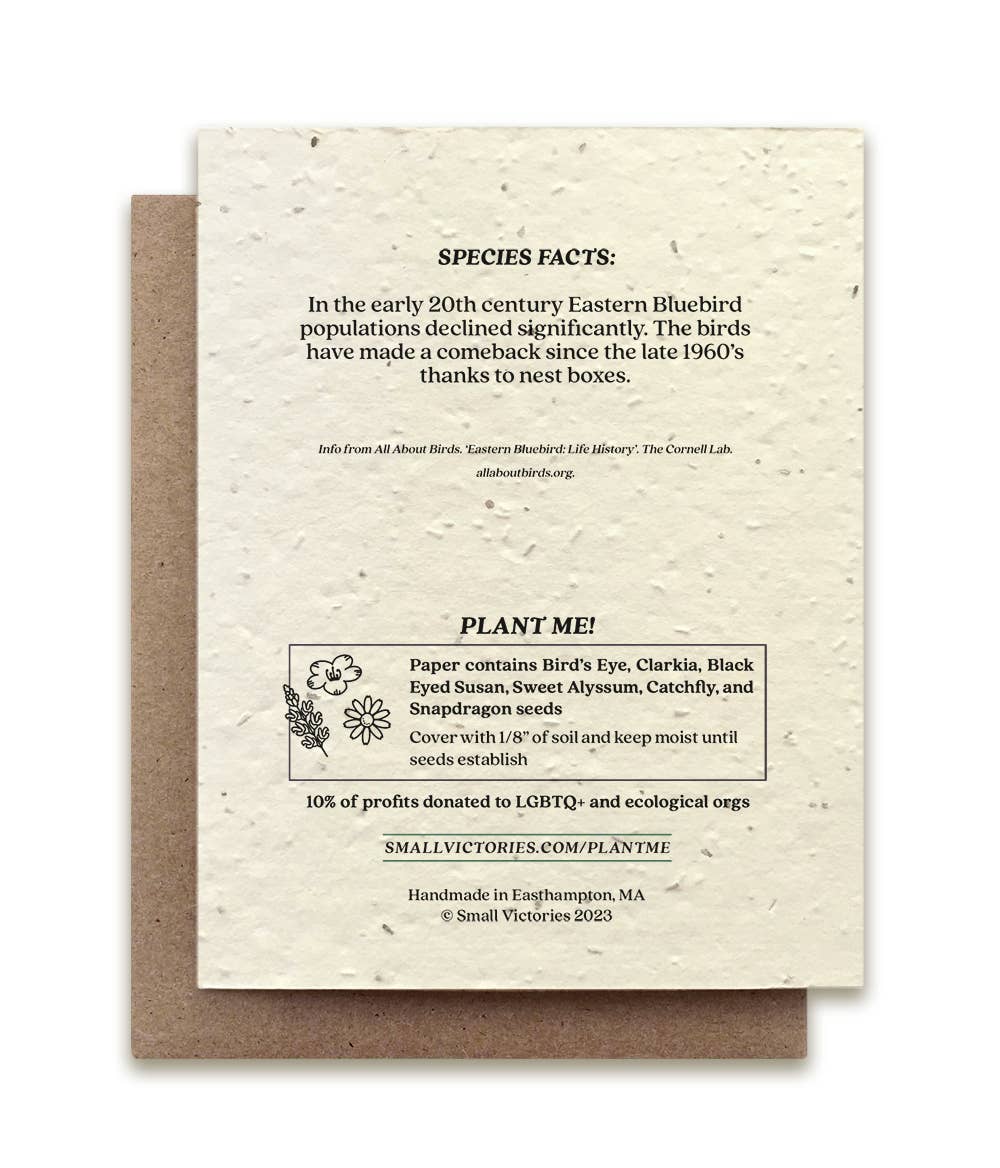 Plantable Wildflower Seed Cards | Various Designs