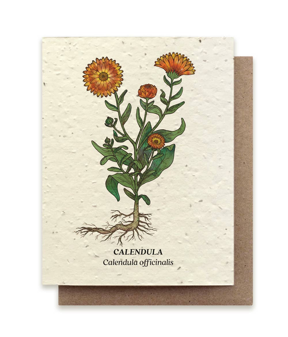 Plantable Wildflower Seed Cards | Various Designs