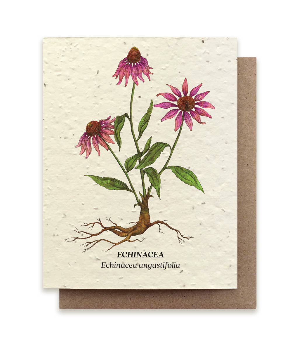 Plantable Wildflower Seed Cards | Various Designs