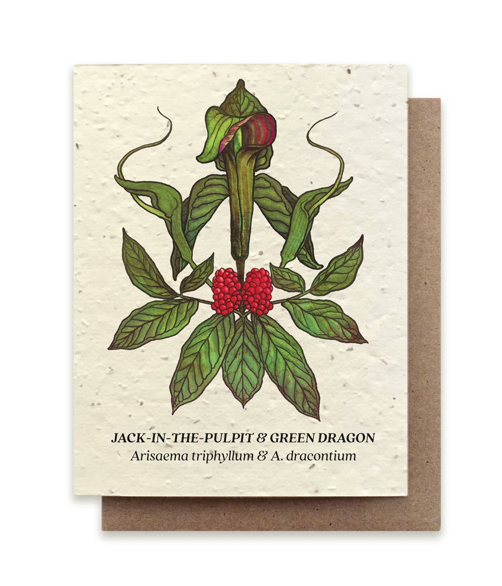 Plantable Wildflower Seed Cards | Various Designs