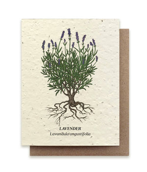 Plantable Wildflower Seed Cards | Various Designs