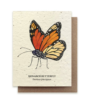 Plantable Wildflower Seed Cards | Various Designs