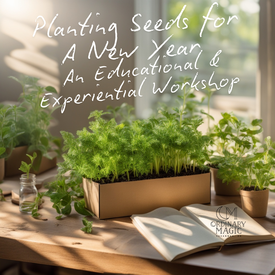 Planting Seeds for A New Year - An Educational & Experiential Workshop