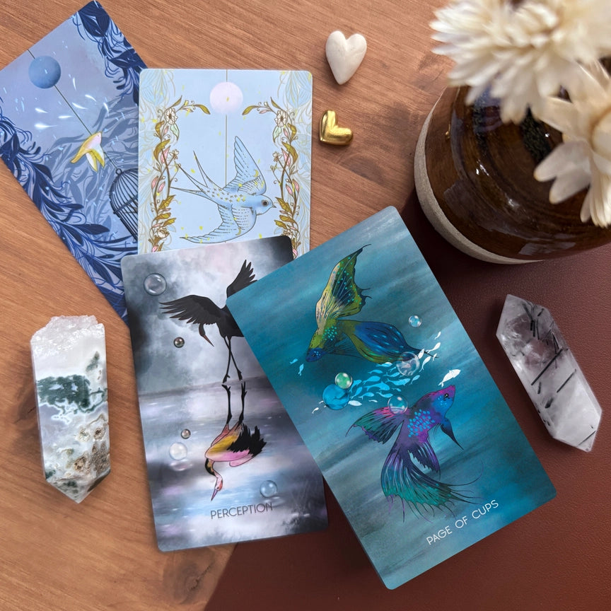 The Meraki Tarot Deck, 5th Edition, fourth view, at Ordinary Magic in Savannah, GA.