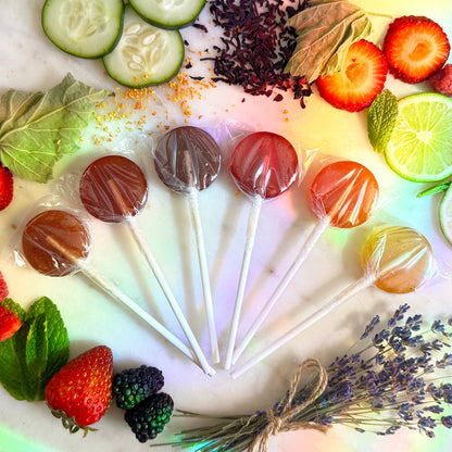 Plants & Planets Lollipops - Assorted Flavors