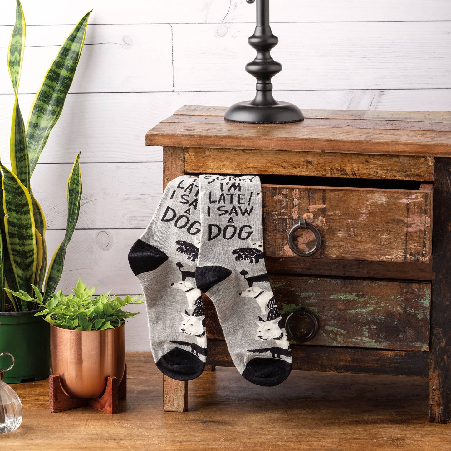 Sorry I’m Late Socks – Playful Dog Lover Gift