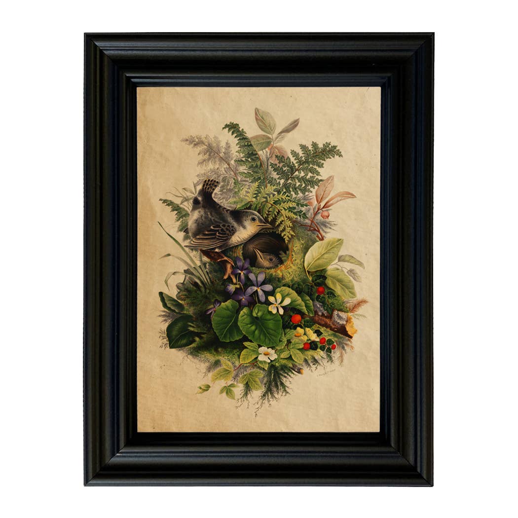 Birds in Nest Cottagecore Framed Reproduction Print: 8" x 10"