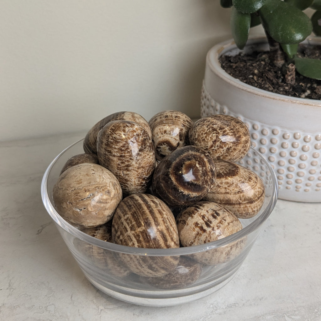 Aragonite Tumbles