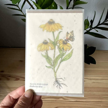 Black Eyed Susan Plantable Wildflower Seed Greeting Card