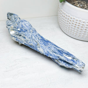 Blue Kyanite Large Wands