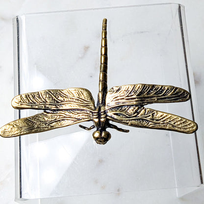 Brass Dragonfly