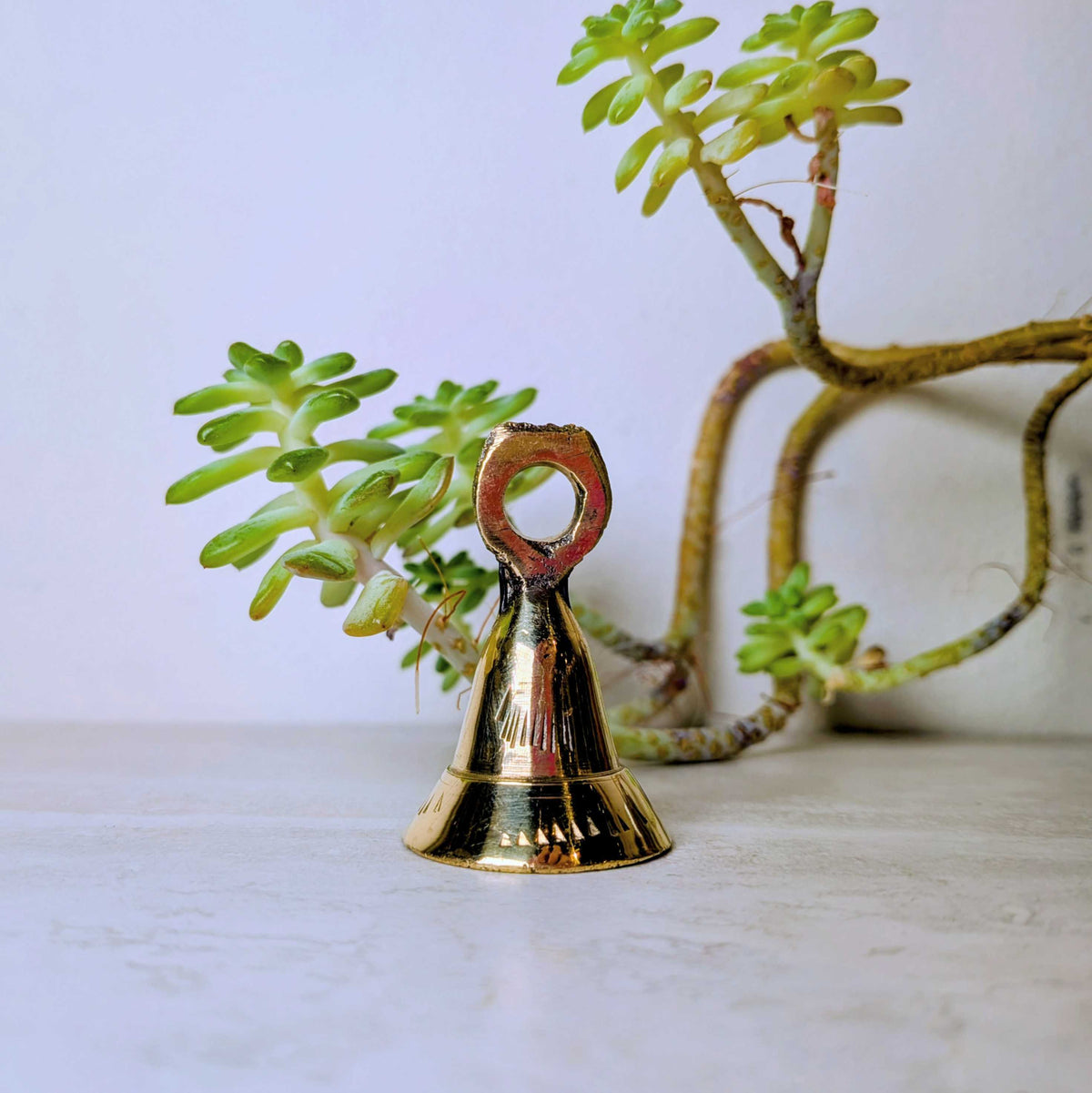 Handcrafted brass bell, one of six assorted designs, view 5, at Ordinary Magic in Savannah, GA.