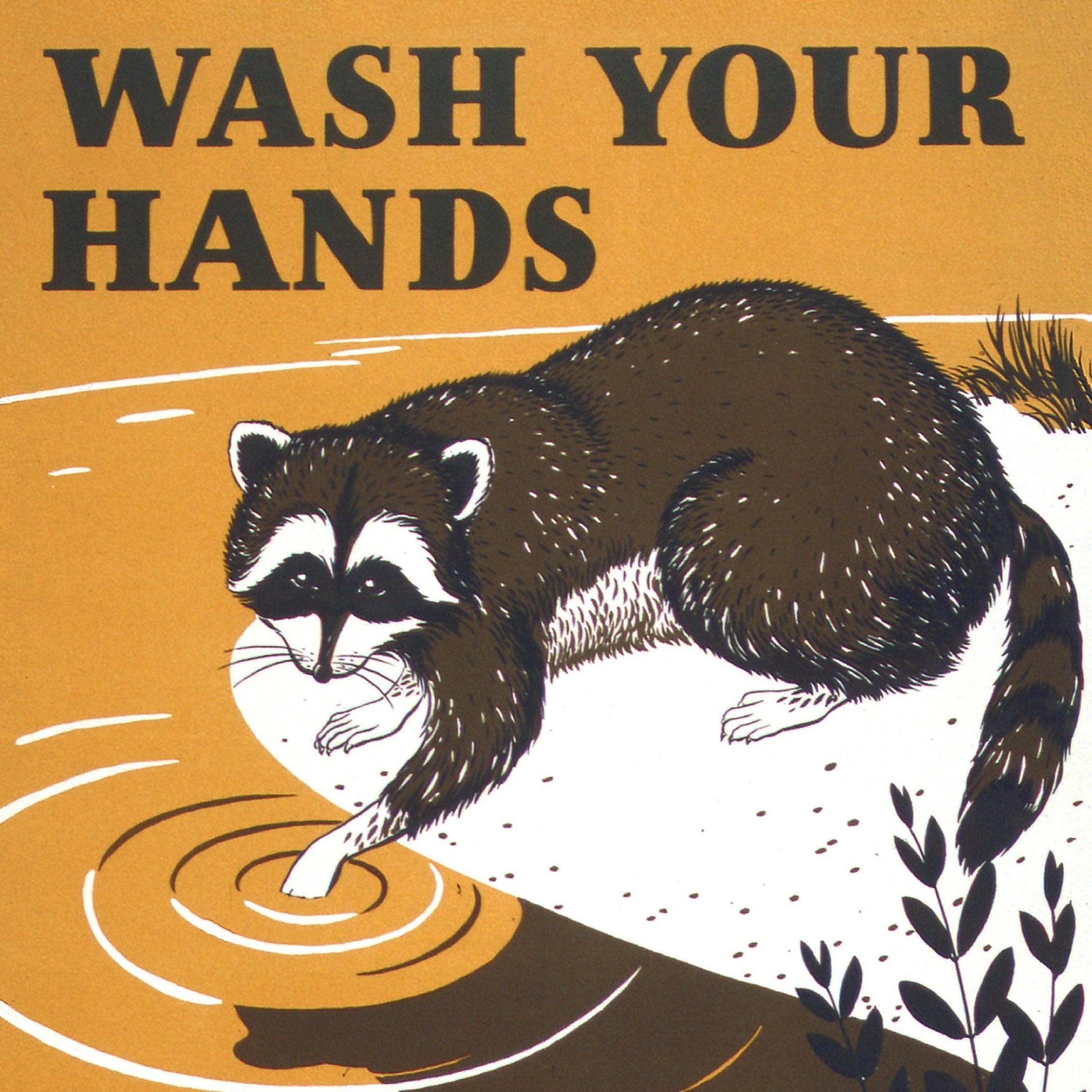 Wash Your Hands Racoon Print