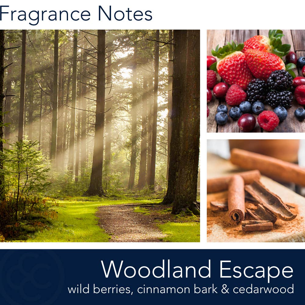 Woodland Escape Candle – Mint, Cinnamon & Timber Calm
