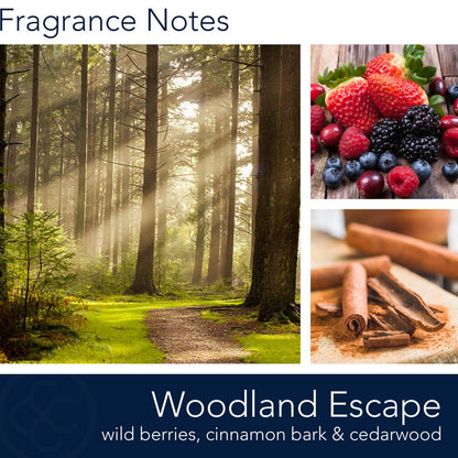 Woodland Escape Candle – Mint, Cinnamon & Timber Calm