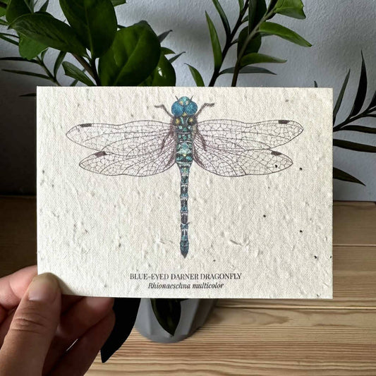 Darner Dragonfly Plantable Wildflower Seed Greeting Card