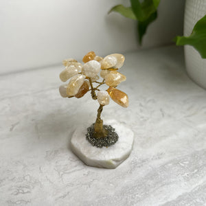 Crystal Bonsai Trees | Various Semi-Precious Stones