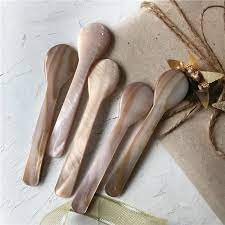 Conch Shell Spoons