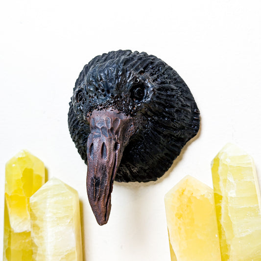 Crow Wall Mount | Local Artist