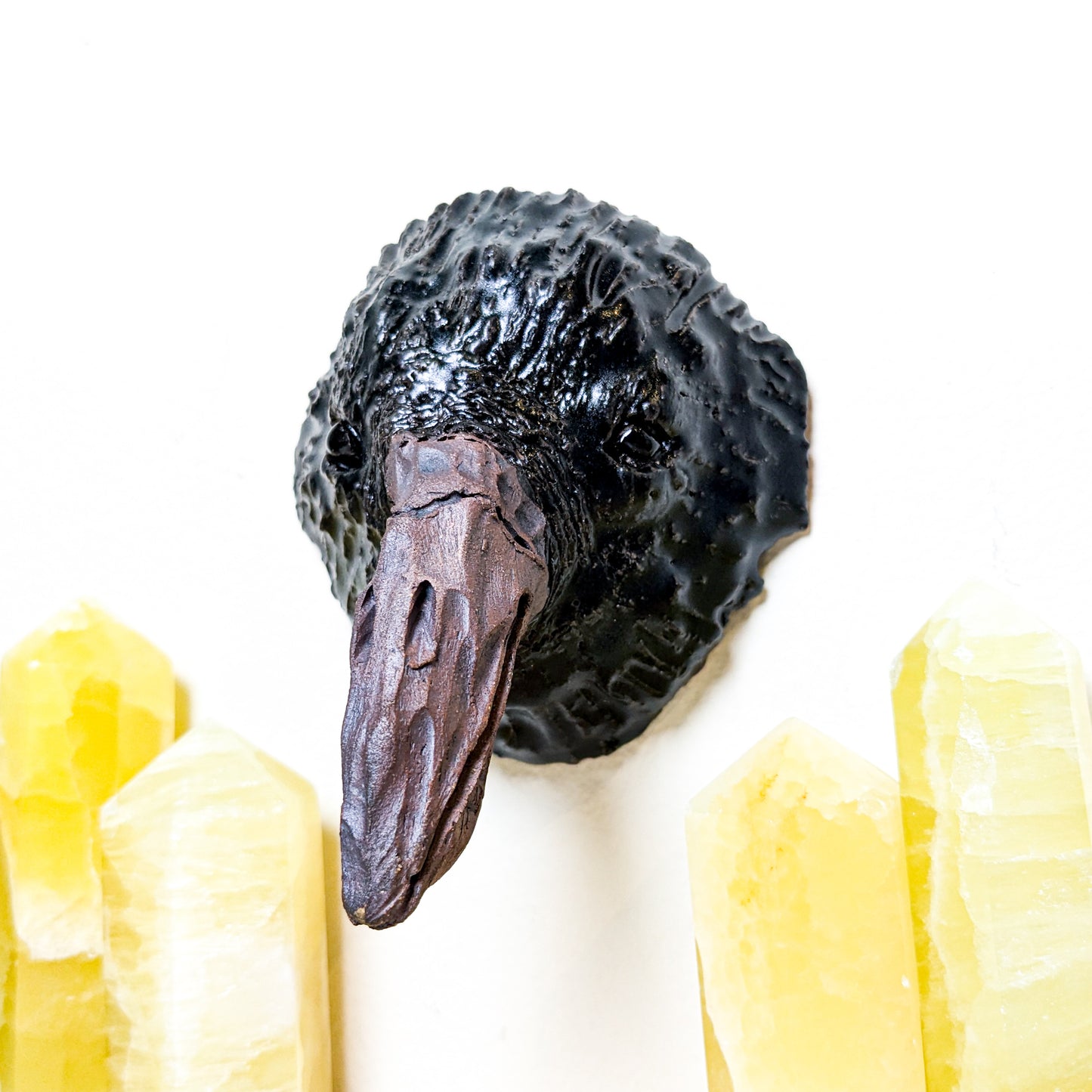 Crow Wall Mount | Local Artist