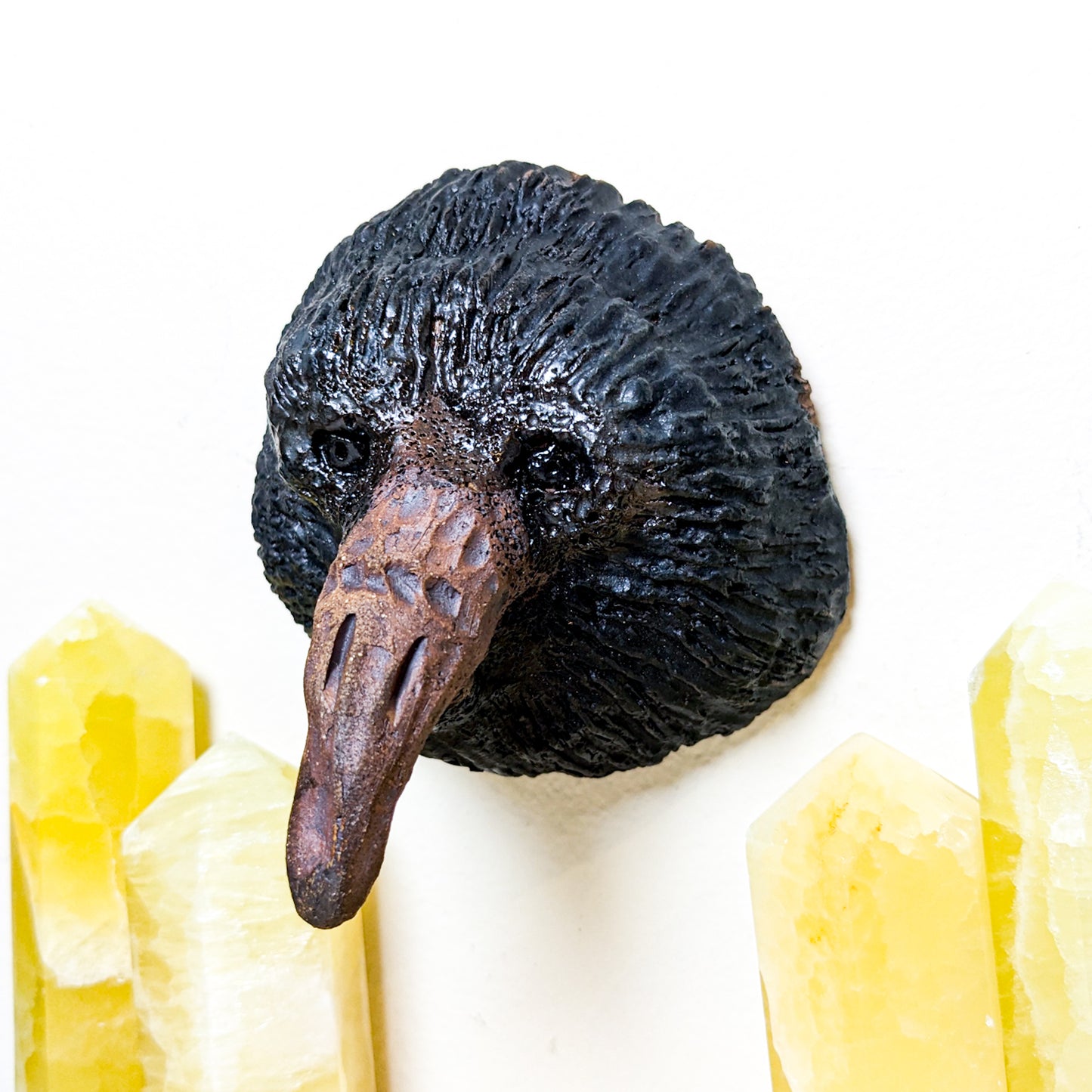 Crow Wall Mount | Local Artist