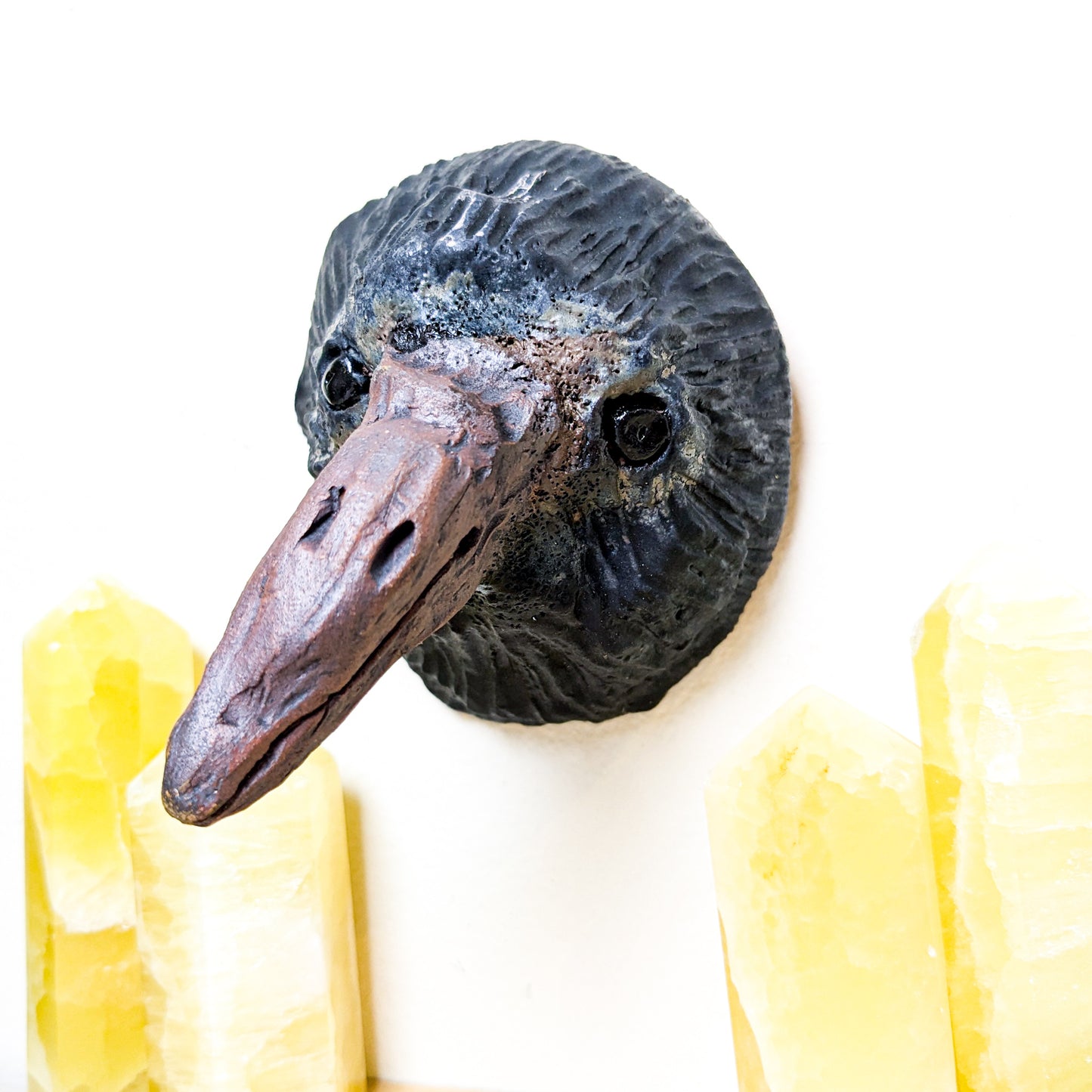 Crow Wall Mount | Local Artist