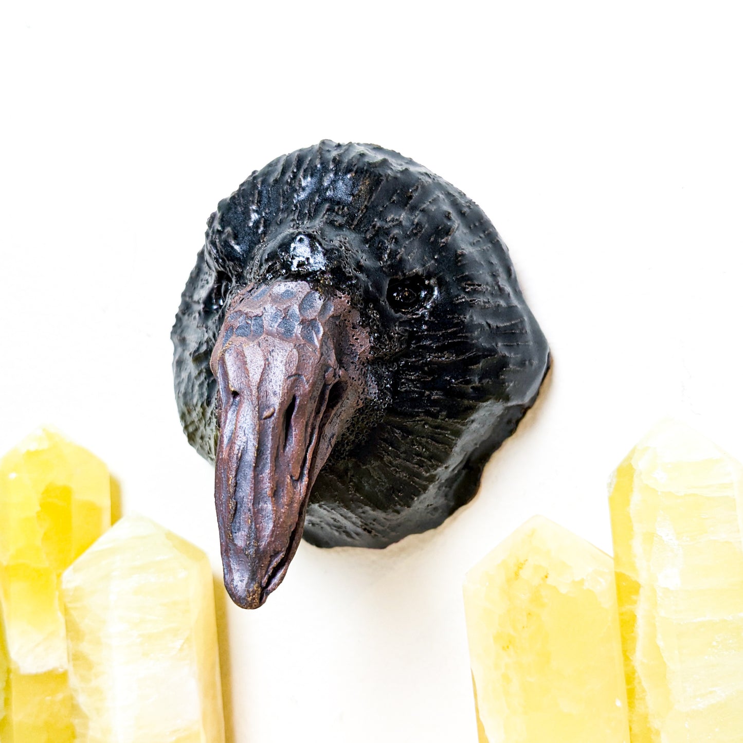 Crow Wall Mount | Local Artist