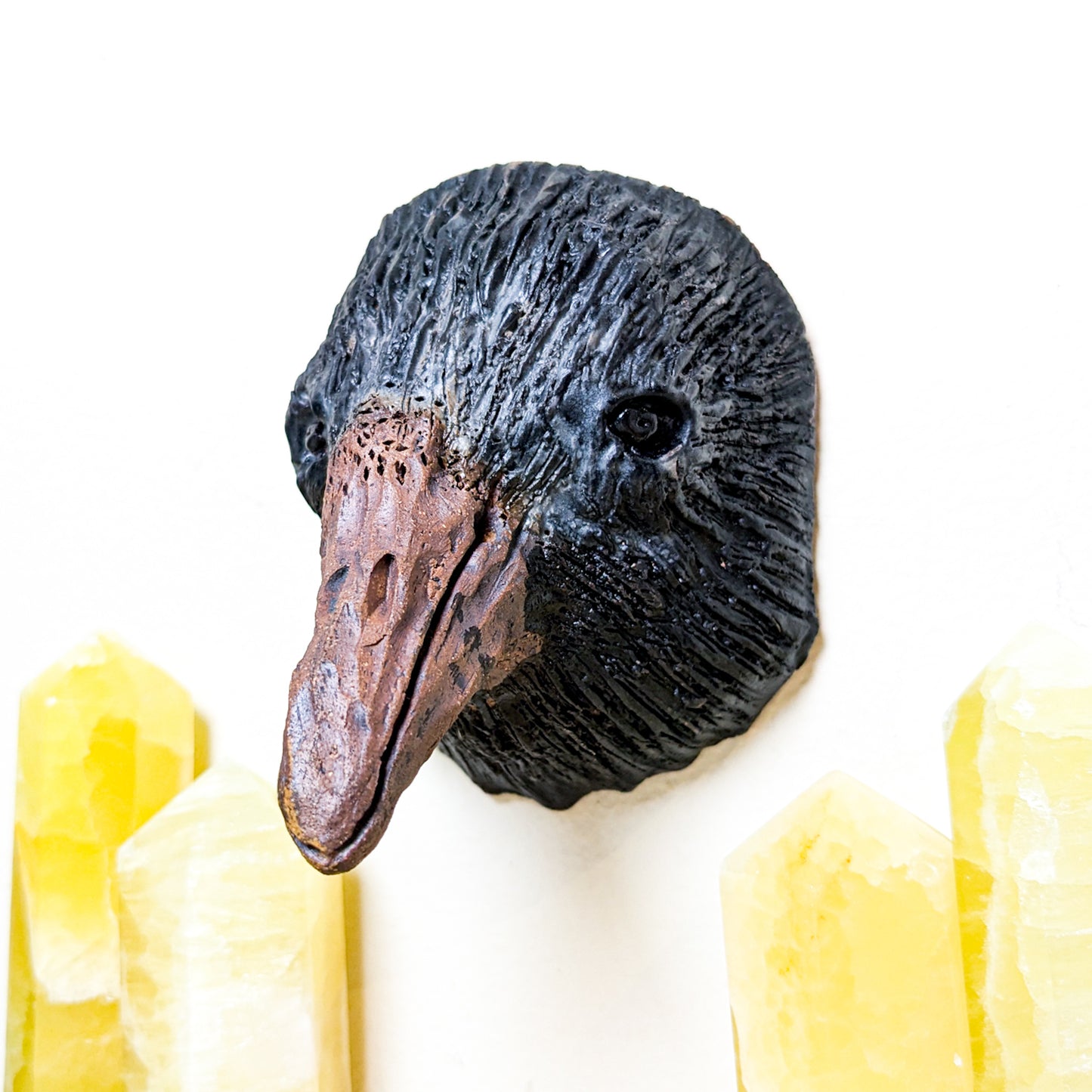 Crow Wall Mount | Local Artist