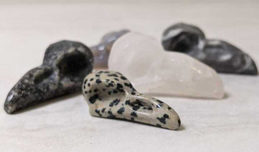Bird Skull Assorted Carved Crystals