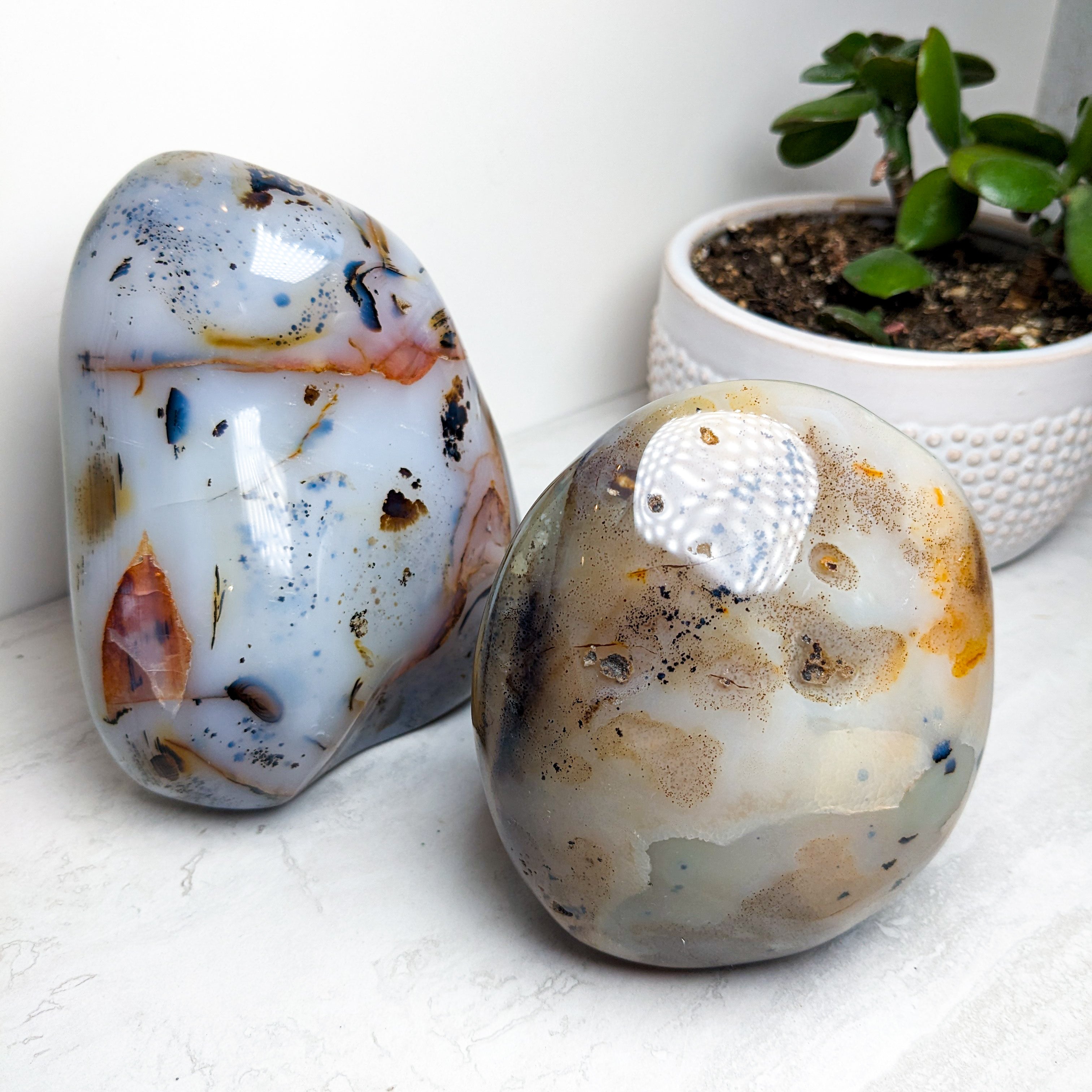 Dendritic Agate Free Forms