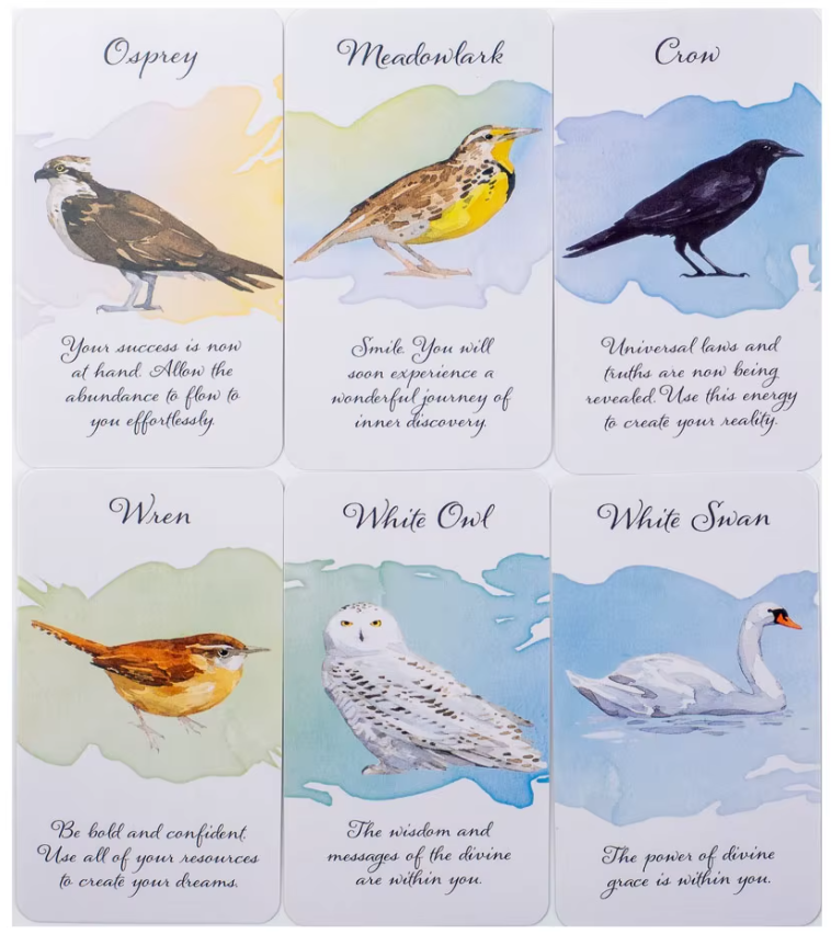 Divine Feather Messenger