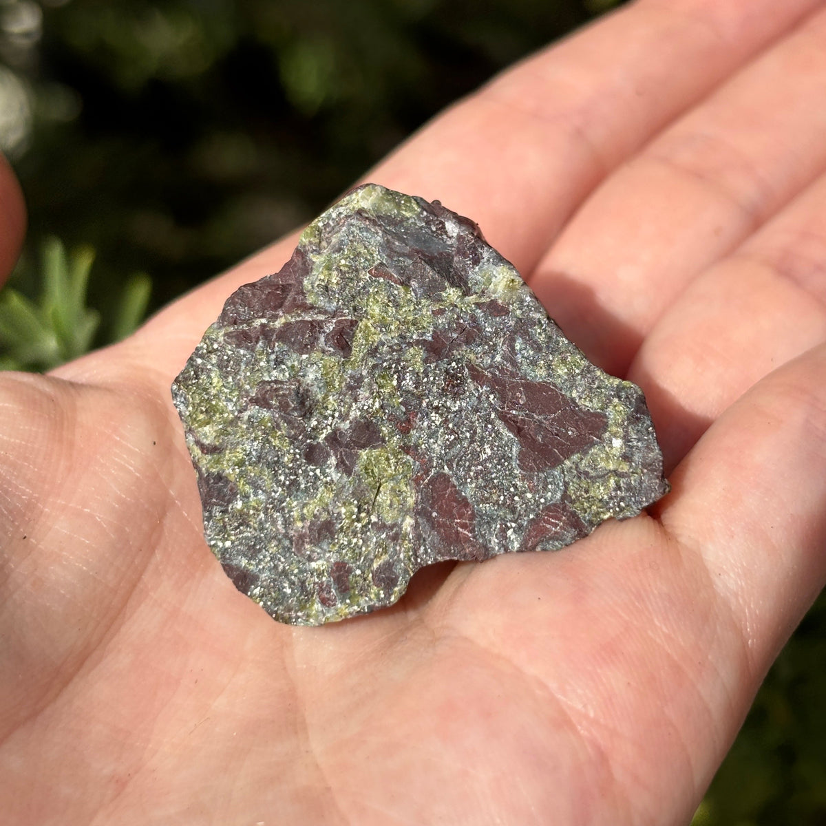 Raw Crystal Magnets | Variants