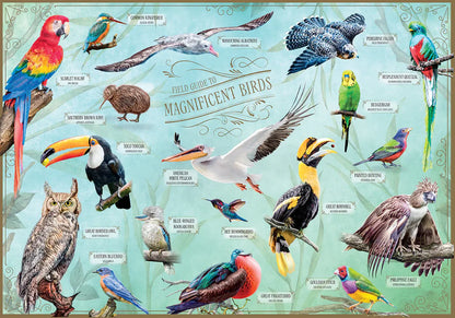 Field Guide To Magnificent Birds 500 Piece Jigsaw Puzzle
