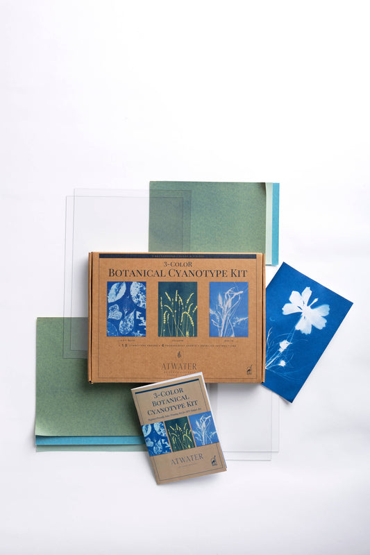 3-Color Botanical Cyanotype (Sun Print) Kit: Beginner-Friendly DIY Kit