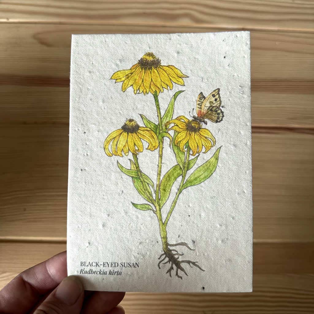 Black Eyed Susan Plantable Wildflower Seed Greeting Card