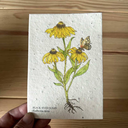 Black Eyed Susan Plantable Wildflower Seed Greeting Card