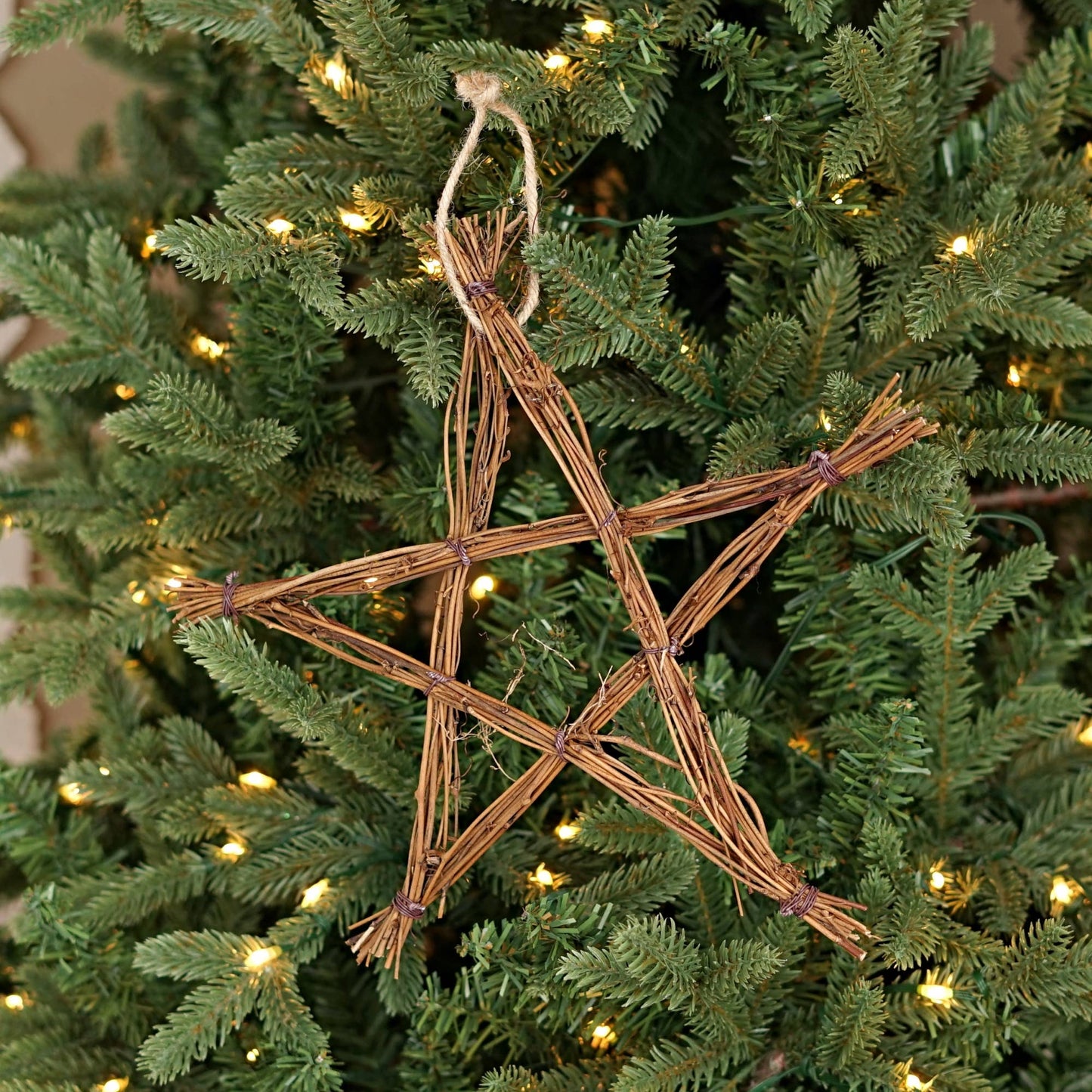 Angle Vine Twig Star | Natural Twig Wall Décor 10"