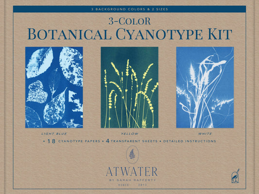 3-Color Botanical Cyanotype (Sun Print) Kit: Beginner-Friendly DIY Kit