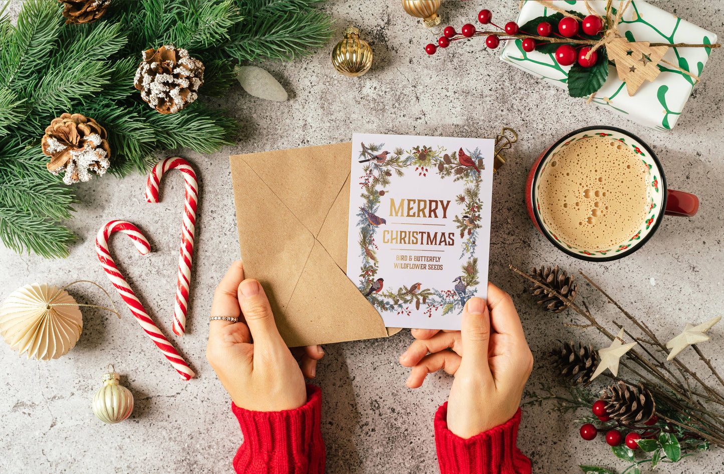 Merry Christmas Wreath of Birds Gift Tag - Bird & Butterfly Wildflower Seed Pack