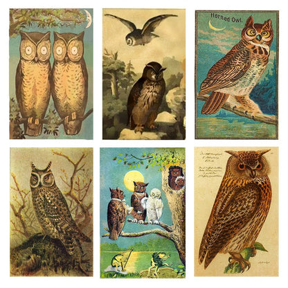 Vintage Owl Mini Matchboxes | Various Designs