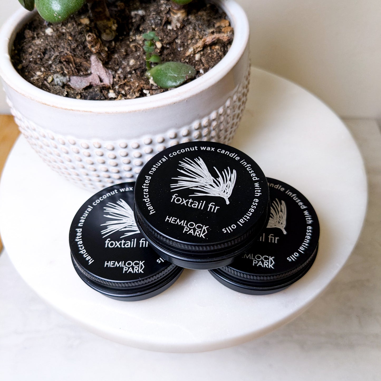 Hemlock Park Tea Light Candle