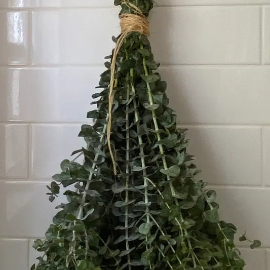 Fresh Eucalyptus Bundles