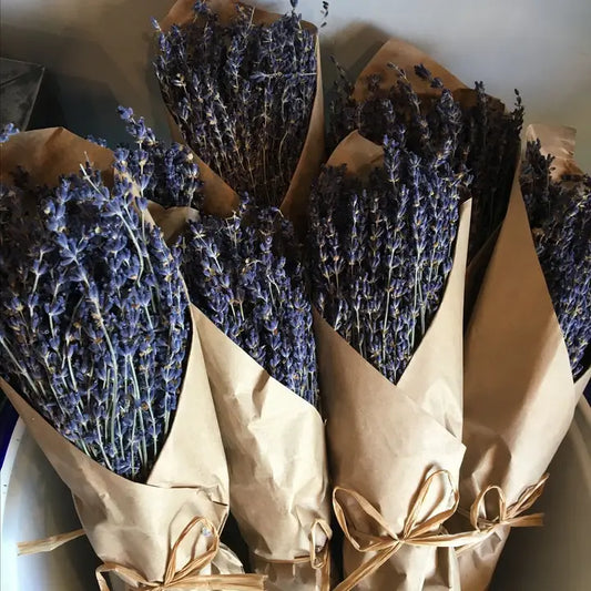 French Organic Lavender Bundles