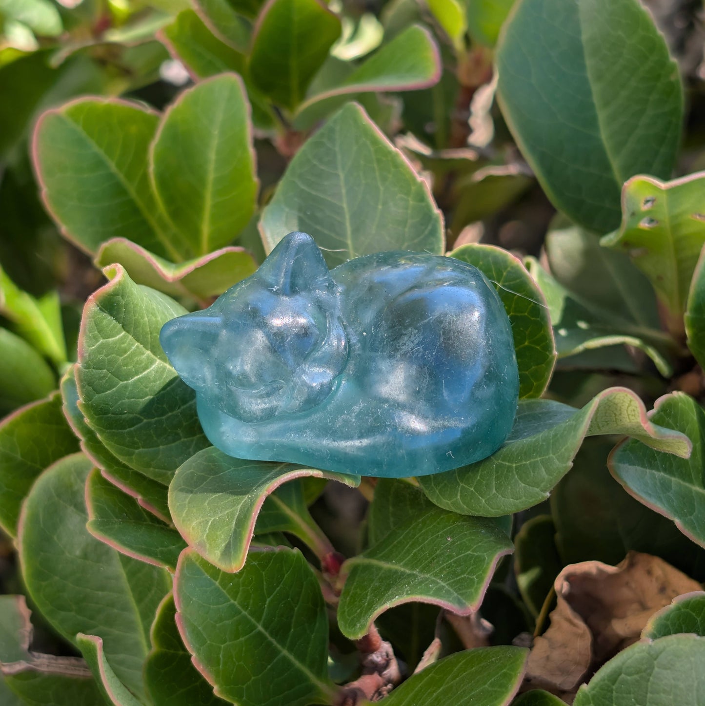 Fluorite Sleeping Cats