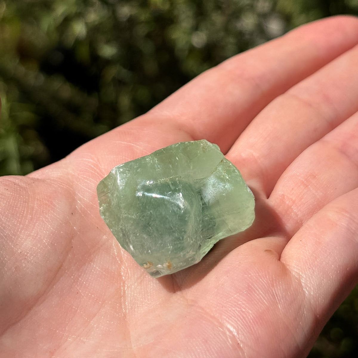 Raw Crystal Magnets | Variants